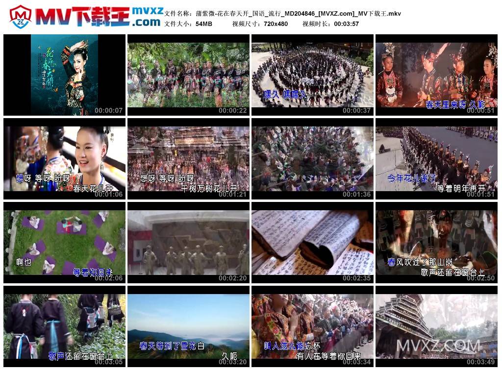 蒲紫微-花在春天开_国语_流行_MD204846